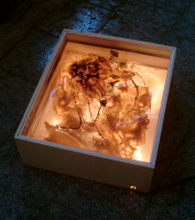 light-box2